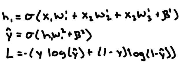 Equations for the hidden unit, the output, and the binary cross-entropy loss