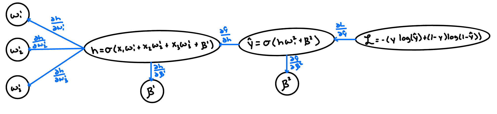 Computational graph from the loss back to each weight and bias, with local partial derivatives on each edge