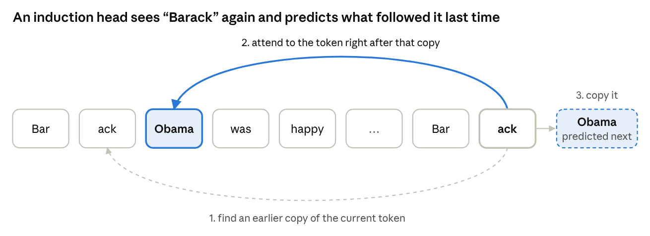 An induction head sees Barack again, attends to the token after the earlier copy, and predicts Obama